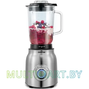 Стационарный блендер CENTEK CT-1300